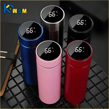 500ml Vacuum Insulated Thermos Bottle with Temperature Display